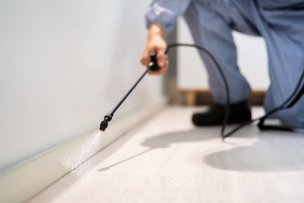 Licensed Wasp Control service in Conneaut Lakeshore, PA - Nex Pest Control