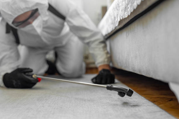 Professional Wasp Control technician working in Conneaut Lakeshore, PA