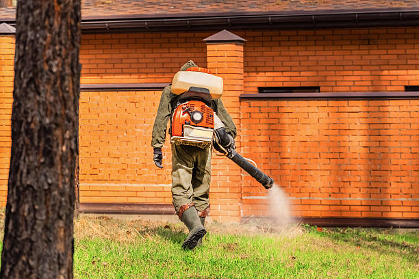Trusted Rodent Control service in Conneaut Lakeshore, PA - Nex Pest Control